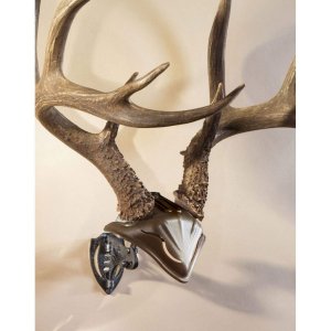 Skull Hooker BB-SC-ASSY Skull Cap Br And Bone Bracket Bl Combo