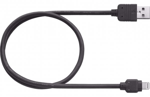 Pioneer Cd-Iu52 Usb To Lightning Interface Cable For Ipod/Iphone (Audio Only)