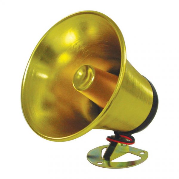 XXX NTX5700G PA speaker 250 watts *NTX5700ALG*