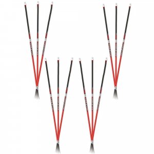 Carbon Express 50751 Maxima  Red 250 Shafts 12 Pk