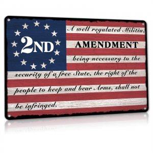 ALREAR 2nd Amendment Metal Tin Sign, Patriotic Americana Wall Decor for Firing Ranges, Gun Room, Office, Gifts for Veterans Military 12x8 Inch