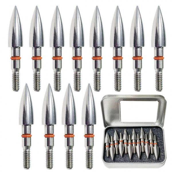 Field Points arrowheads 100 Grains Archery Field Points, 5/16" Stainless Steel Screw in Archery Field Tips and Broadheads (1 Dozen 12 PCS)