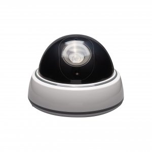 Sabre HSFSCD Home Security Fake Security Camera