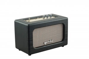 Gemini GTR-100 Portable Bluetooth Speaker