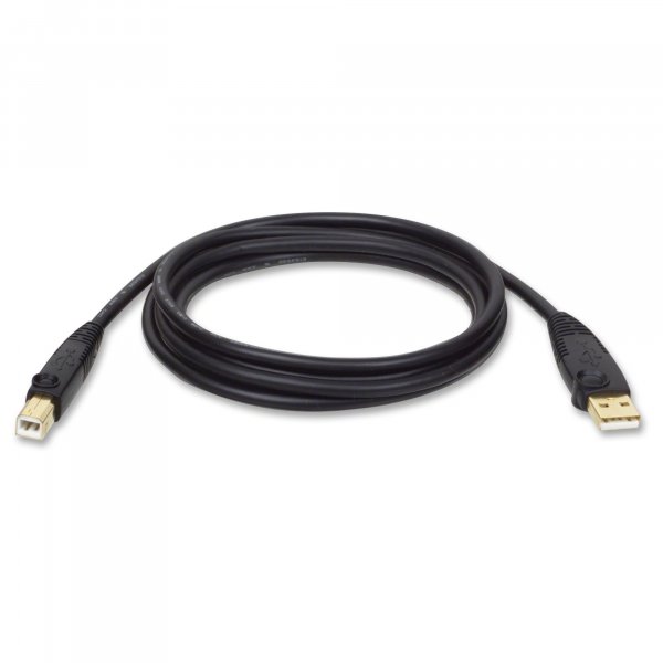 TRIPP LITE U022-006 6-Ft Usb 2.0 Gold Cables