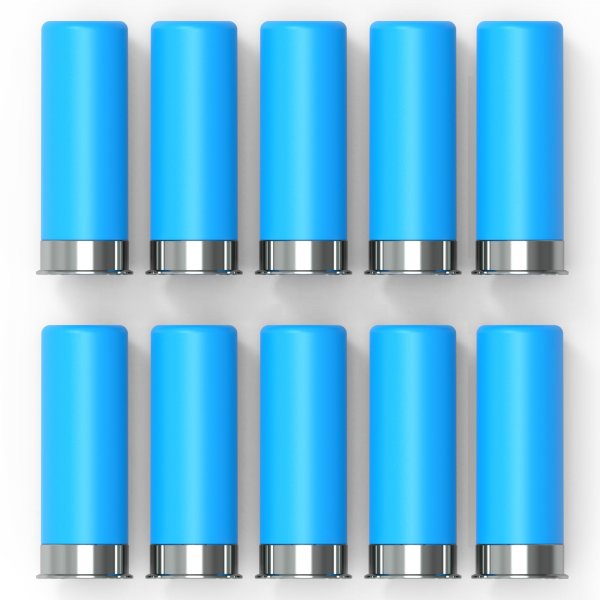 FIREGOWIN Pro 12GA Dummy Rounds – Training Snap Caps, Reusable Dry Fire Training Round with Rubber Primers -Blue Type 10 Pack