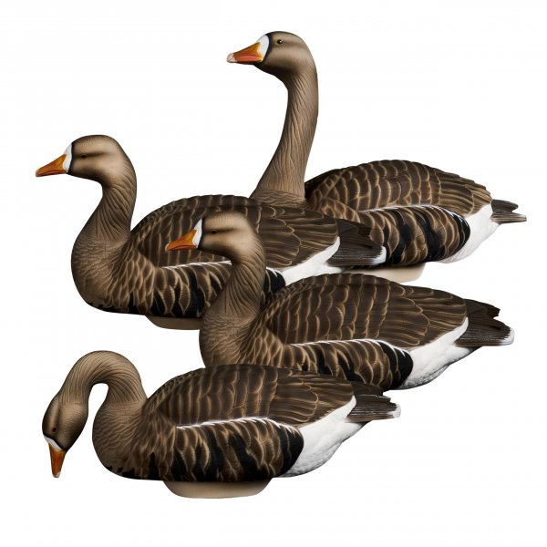 Specklebelly Goose Hunting Decoys By Heyday | 100% HydroFoam 4 Pack Ultra Realistic, Durable Goose Hunting Decoys