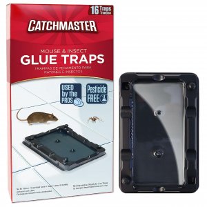 Catchmaster-16 Mouse & Insect Glue Traps, Heavy-Duty Pesticide-Free Sticky Mouse Traps Indoor for Home, Used by the PROs, Adhesive Rodent & Bug Catcher, Pest Control for House & Garage