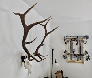 Top Rack: European Skull Mount Hangers Trophy Buck: Deer, Raging Bull: Elk, and Mammoth: Steer/Bison/Moose (Raging Bull Black)