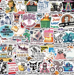 300 Pcs Funny Stickers for Adults, Sticker Pack for Water Bottle Laptop