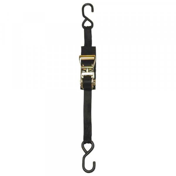 BoatBuckle F14209 Ratchet Transom Utility Tie-Downs (Pair)