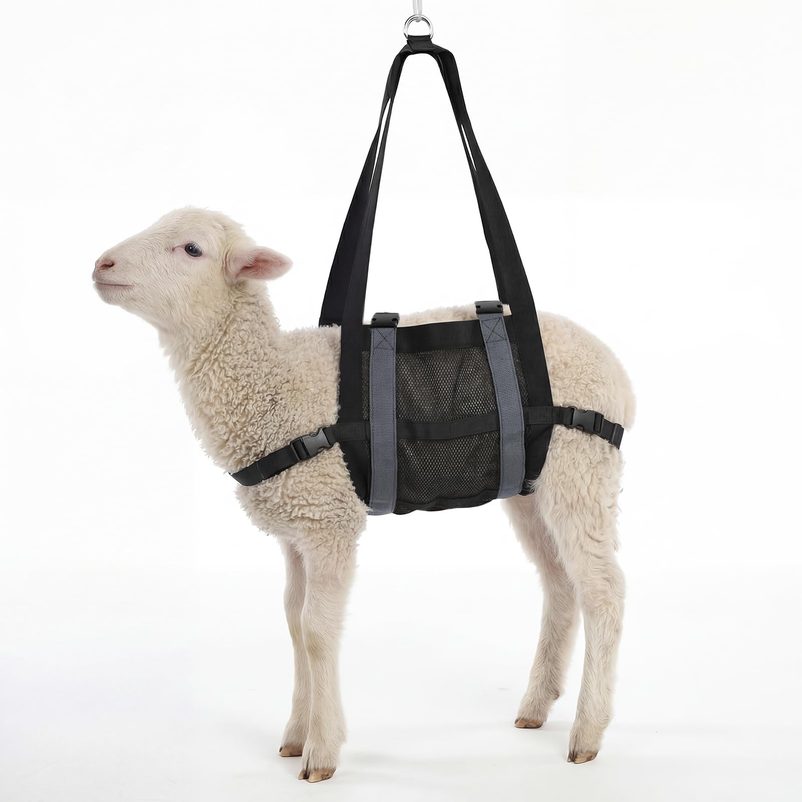Calf Sling for Weighing Animals with Adjustable Back Straps 24" x 14"