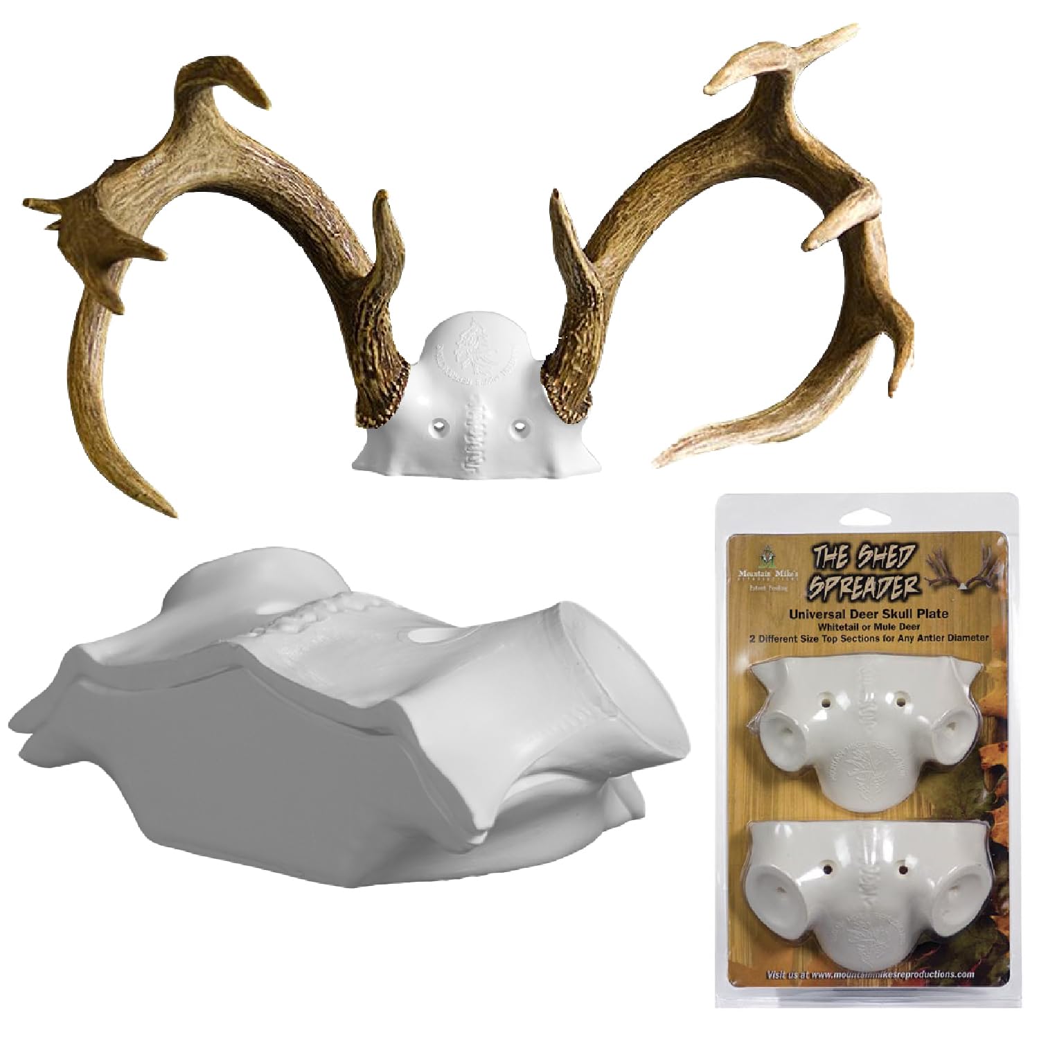 Shed Spreader by Illusion | Replica Skull Cap for DIY Taxidermy | Deer Antler Mounting Skull Plate | DIY Antler Mounting