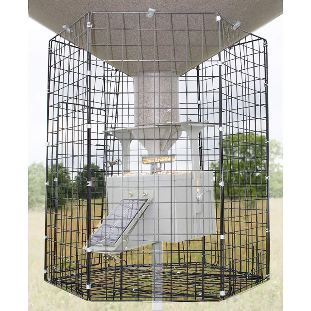 Boss Buck BB1VC Varmint Cage Large Deluxe Round