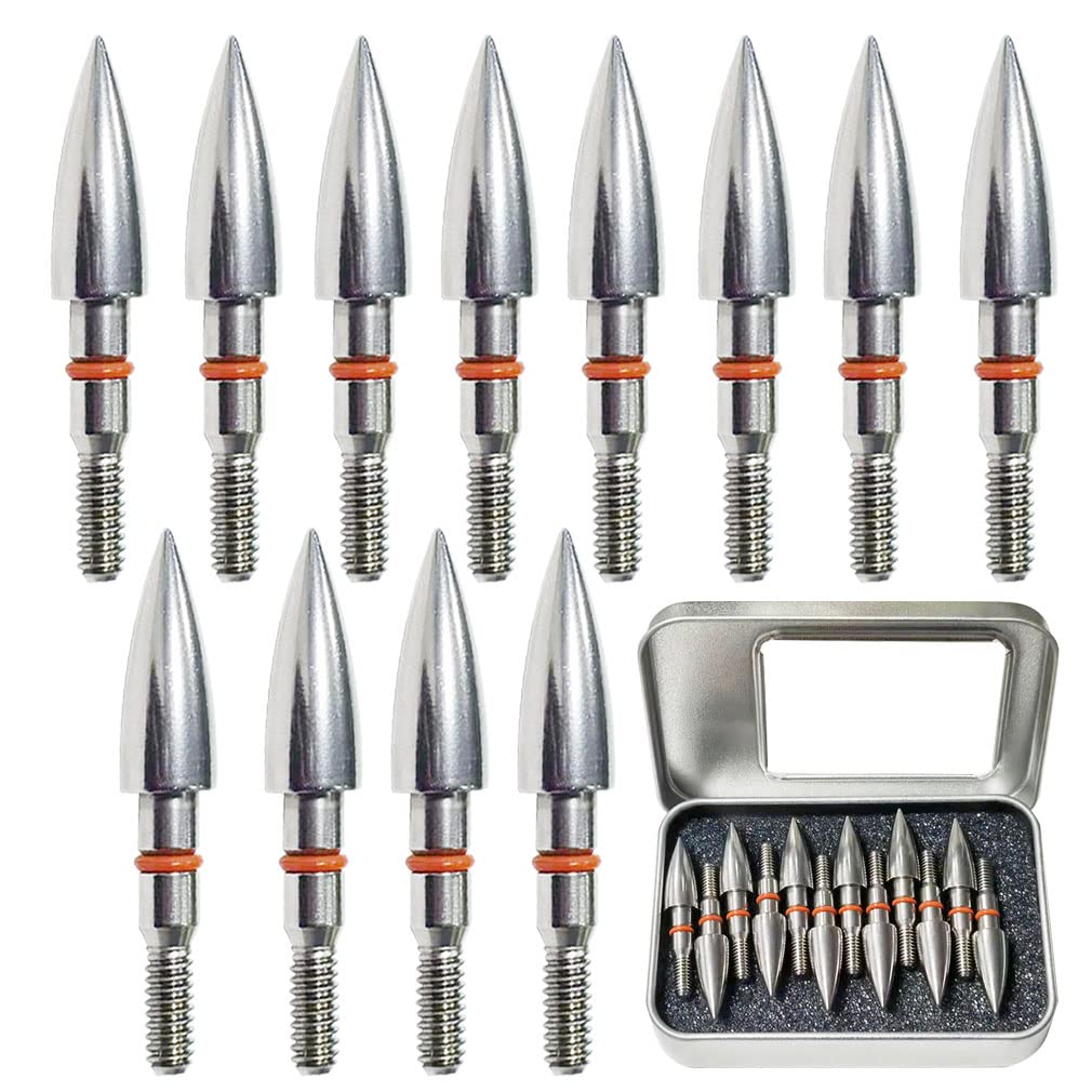 Field Points arrowheads 100 Grains Archery Field Points, 5/16" Stainless Steel Screw in Archery Field Tips and Broadheads (1 Dozen 12 PCS)