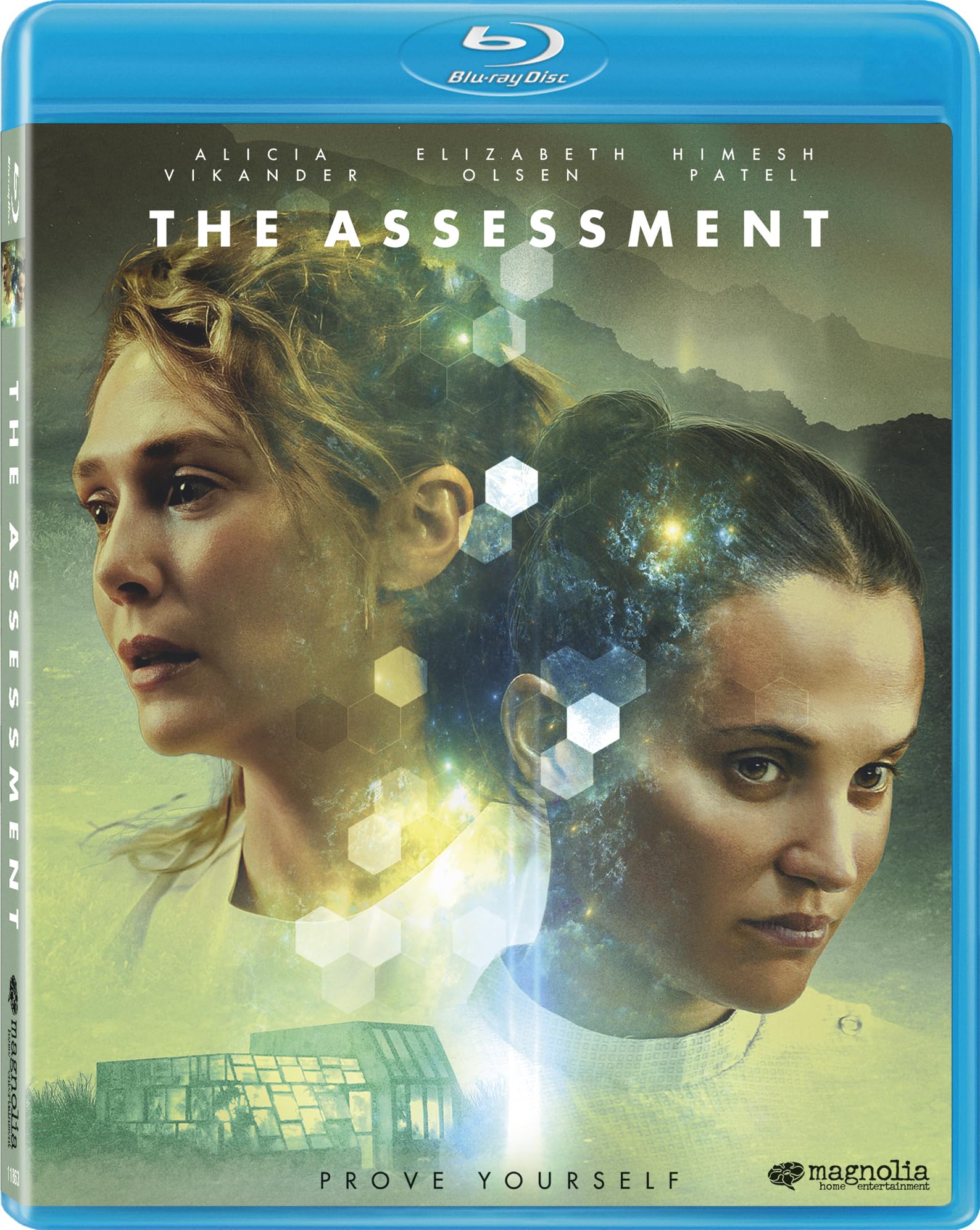 The Assessment