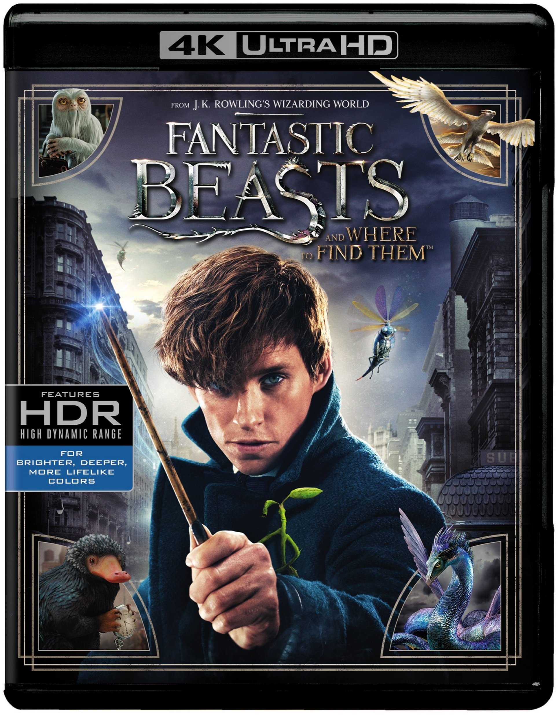 Fantastic Beasts and Where to Find Them (4K Ultra HD + Blu-ray )