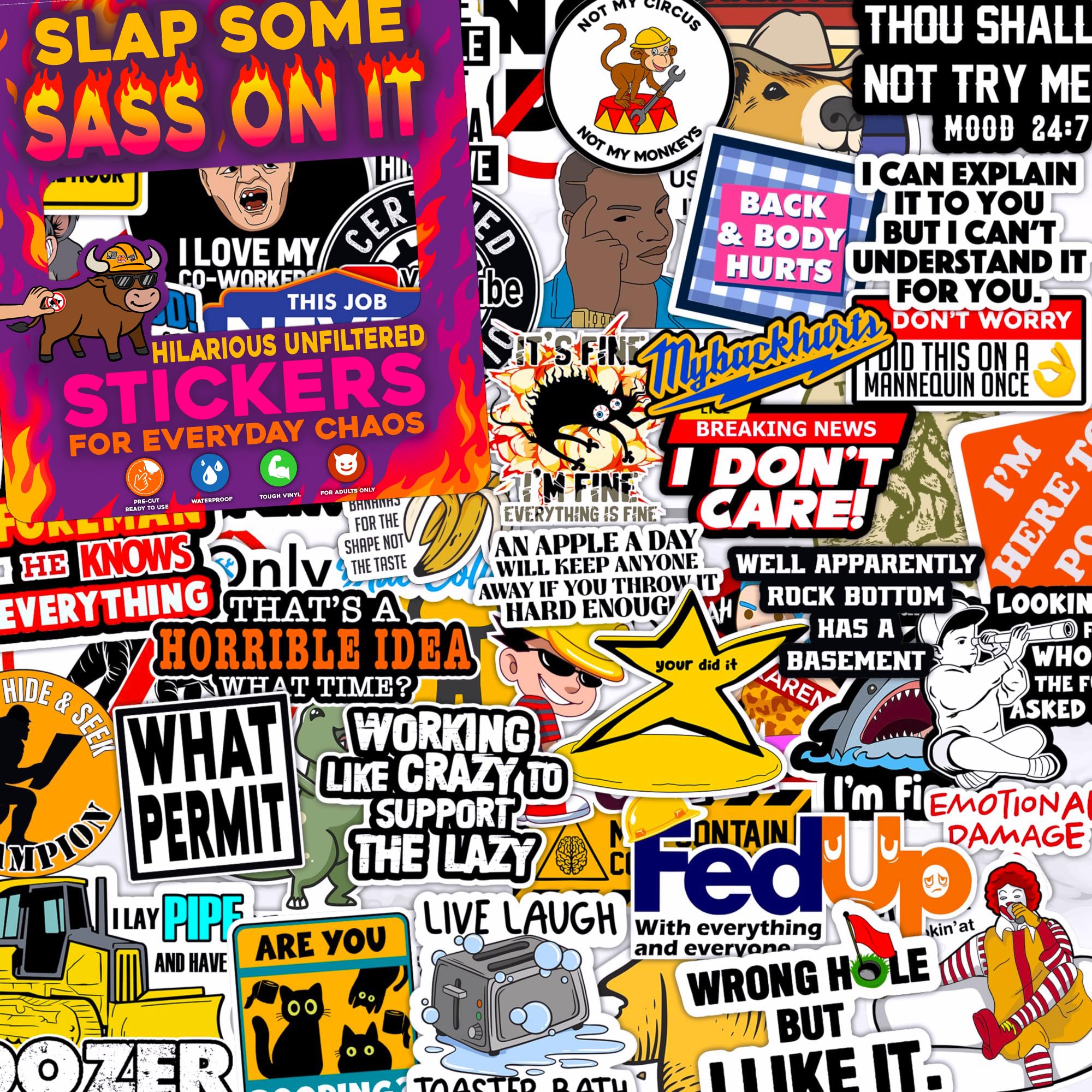 225 PCS Funny Hard Hat Stickers for Men (Dirty) Adult Humor Waterproof Vinyl Welding Helmet, Tool Box, Electrician, Mechanic Construction - Sarcastic Gifts for Men No Repeat