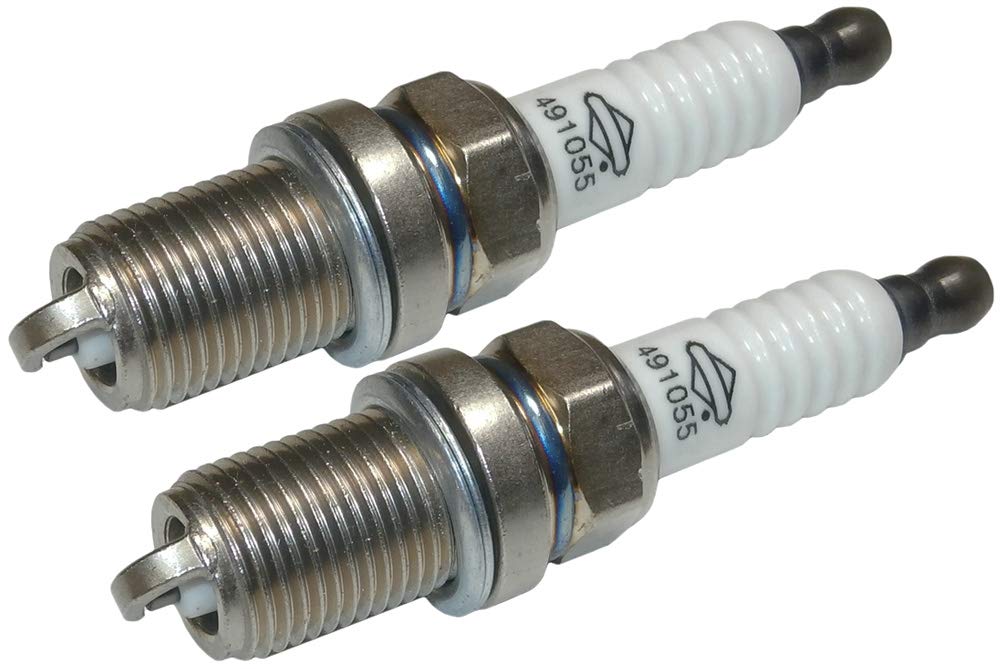 Briggs & Stratton 491055-2pk Spark Plug (2 Pack) Replaces 805015/72347/491055/Champion RC12Y