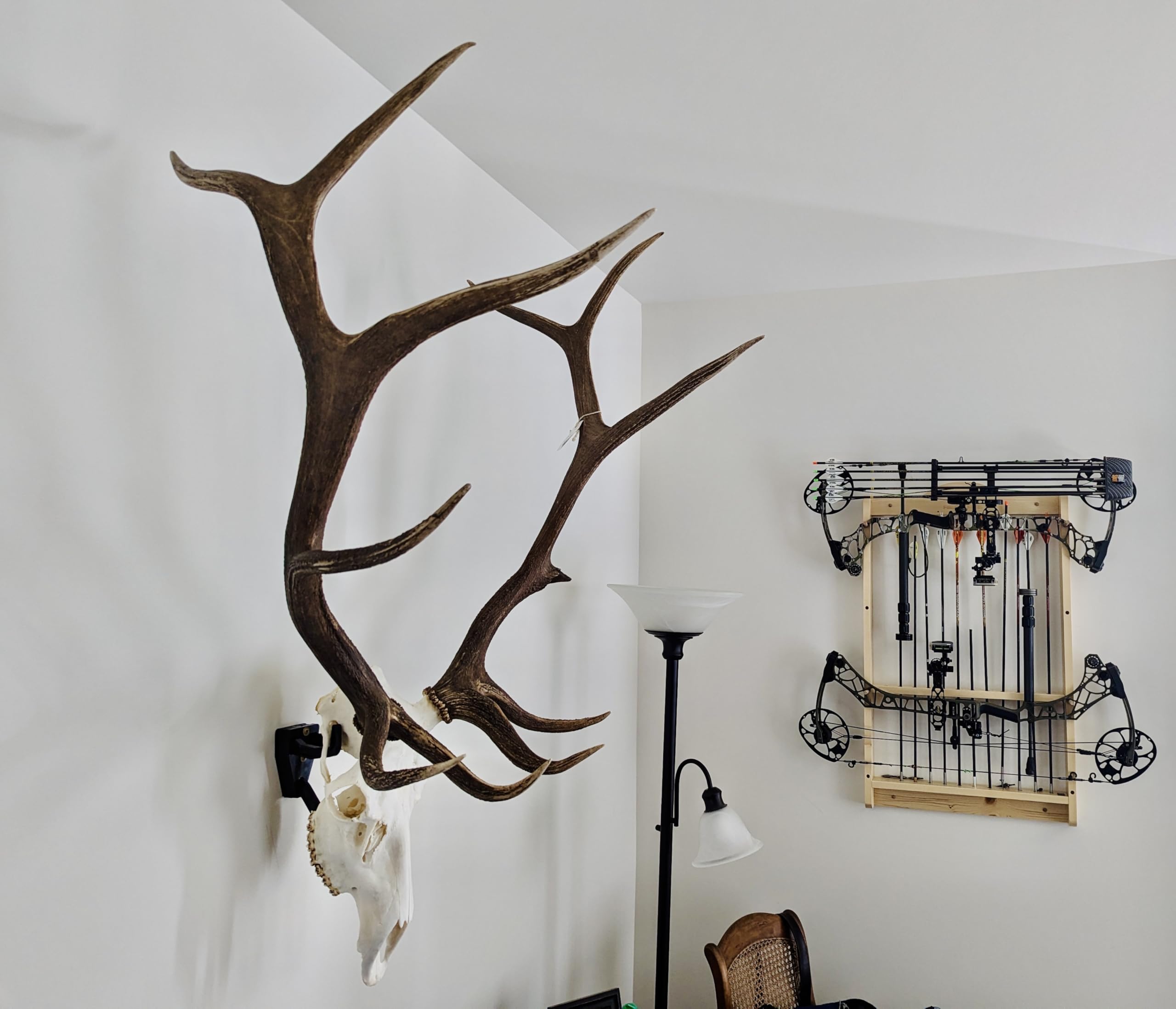 Top Rack: European Skull Mount Hangers Trophy Buck: Deer, Raging Bull: Elk, and Mammoth: Steer/Bison/Moose (Raging Bull Black)