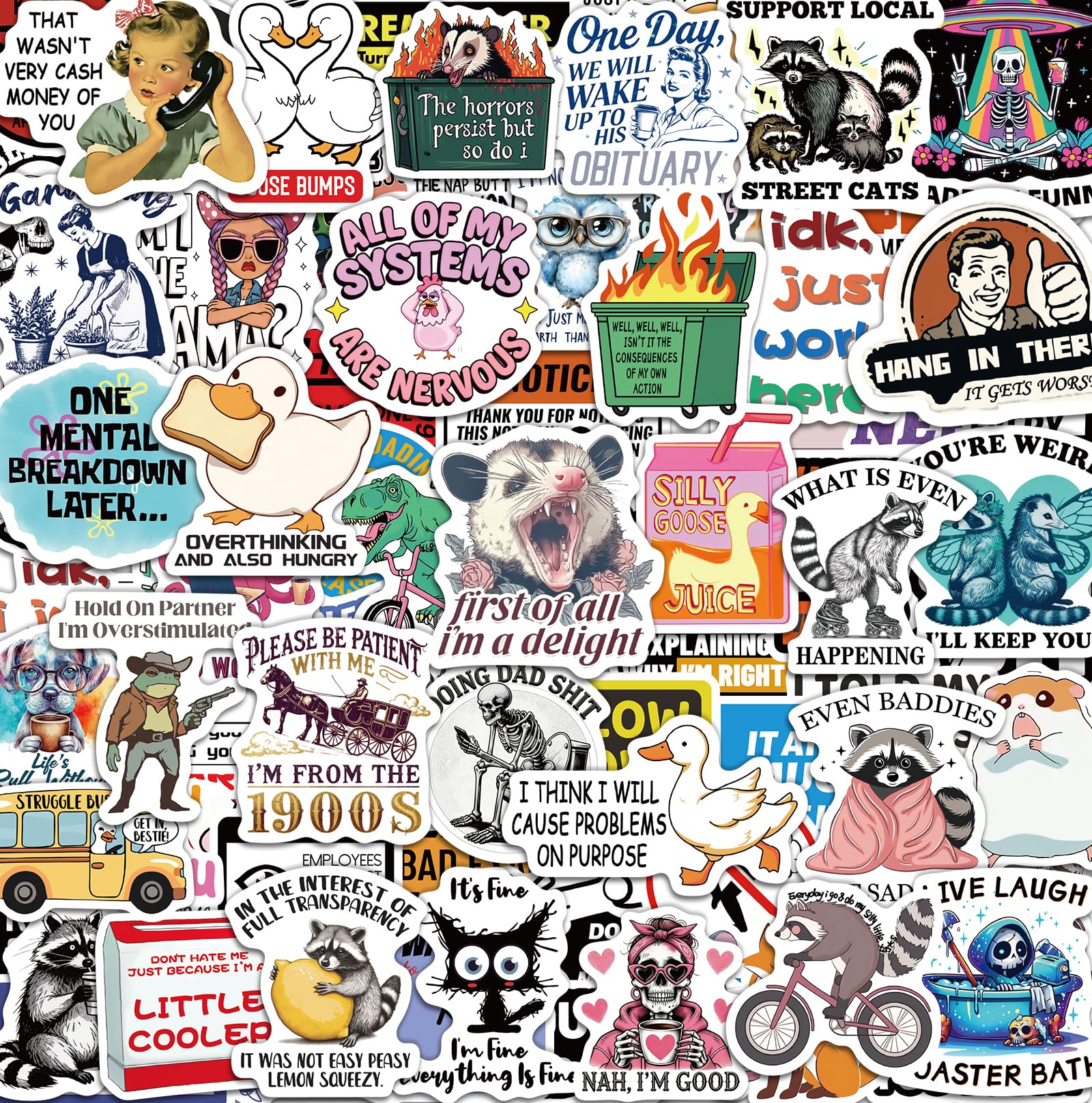 300 Pcs Funny Stickers for Adults, Sticker Pack for Water Bottle Laptop