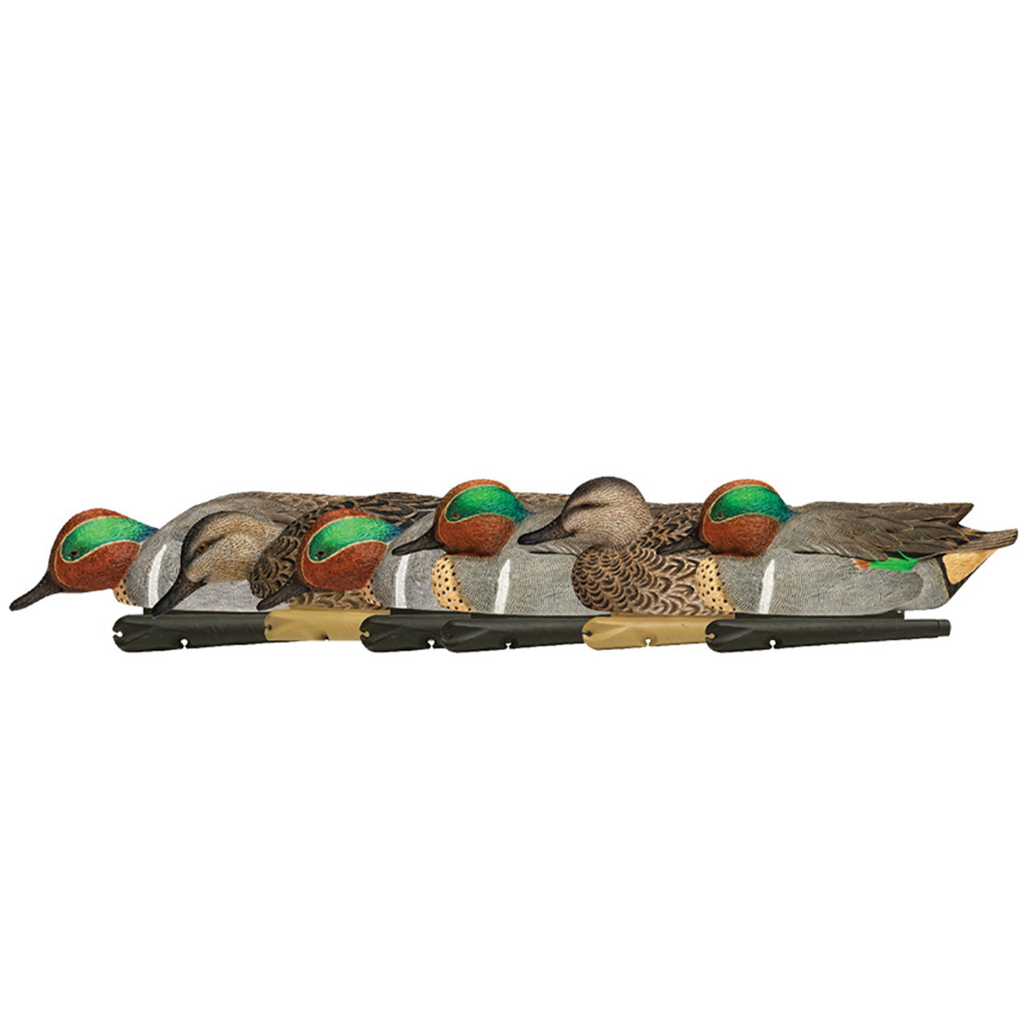 Avian X Topflight Green-Winged Teal Decoys, Realistic Floating Duck Decoys for Hunting, Weight-Forward Swim Keel, Set of 6, Multicolor