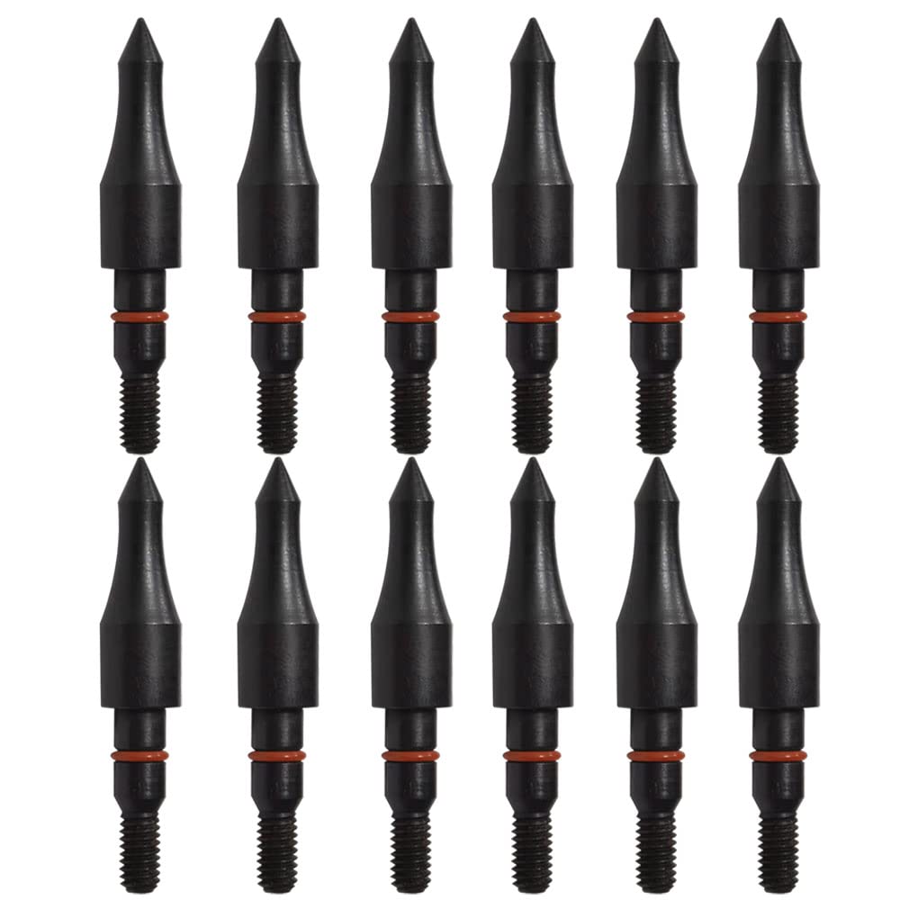 Field Points arrowheads 125 Grains Archery Field Points, 5/16" Steel Screw in Archery Field Tips and Broadheads (1 Dozen 12 PCS)